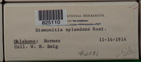 Image Associated With the Occurence